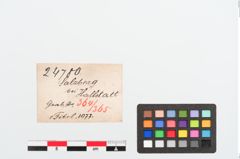 Etiketten zu Bronzebrillenfibel (NHMW-PRAE-024780)